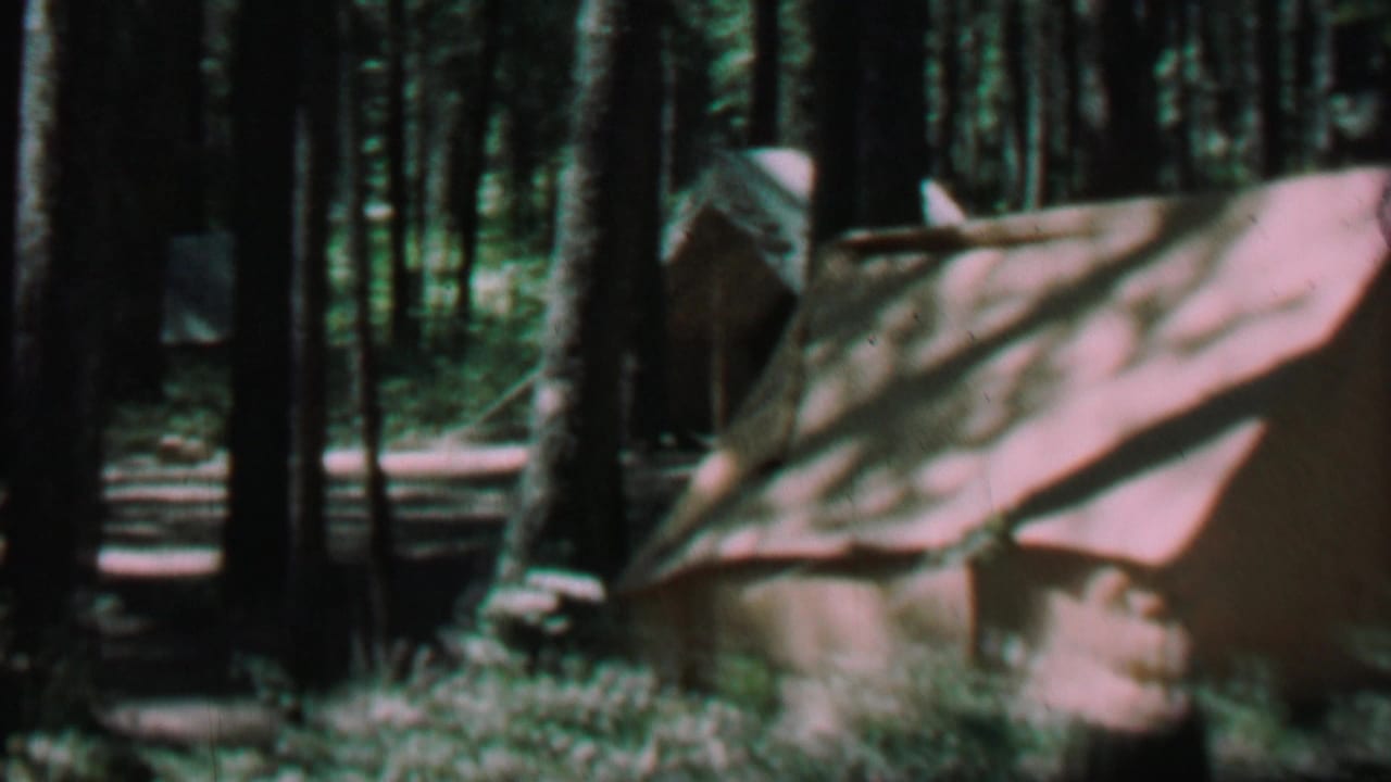 Several canvas tents partly obscured by pine trunks and brush.