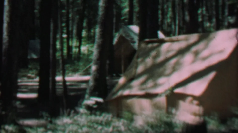 1967 Farragut State Park campsite view with multiple canvas tents partially hidden behind pine trees in dappled sunlight.