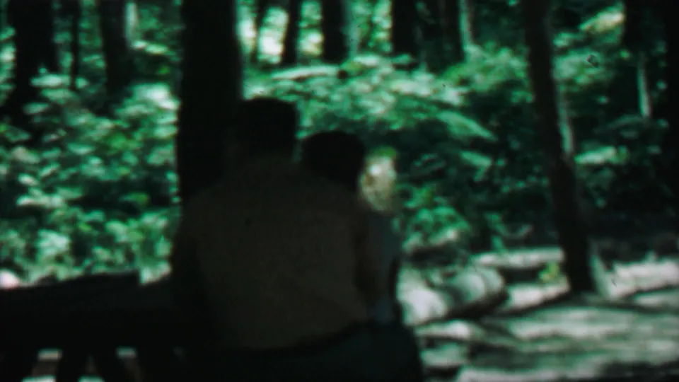 1967 Farragut State Park home-movie frame showing people seated in a shaded wooded area with tall trunks and dense green undergrowth.