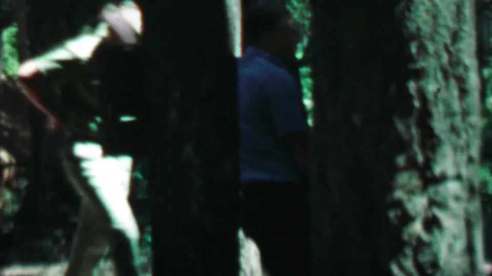 1967 Farragut State Park home-movie frame showing people near shaded seating and large tree trunks in a wooded recreation area.