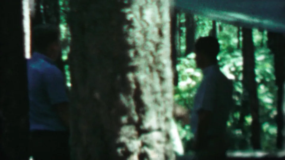 1967 Farragut State Park frame showing two people partly obscured by a large tree trunk, with green foliage and shaded forest behind them.