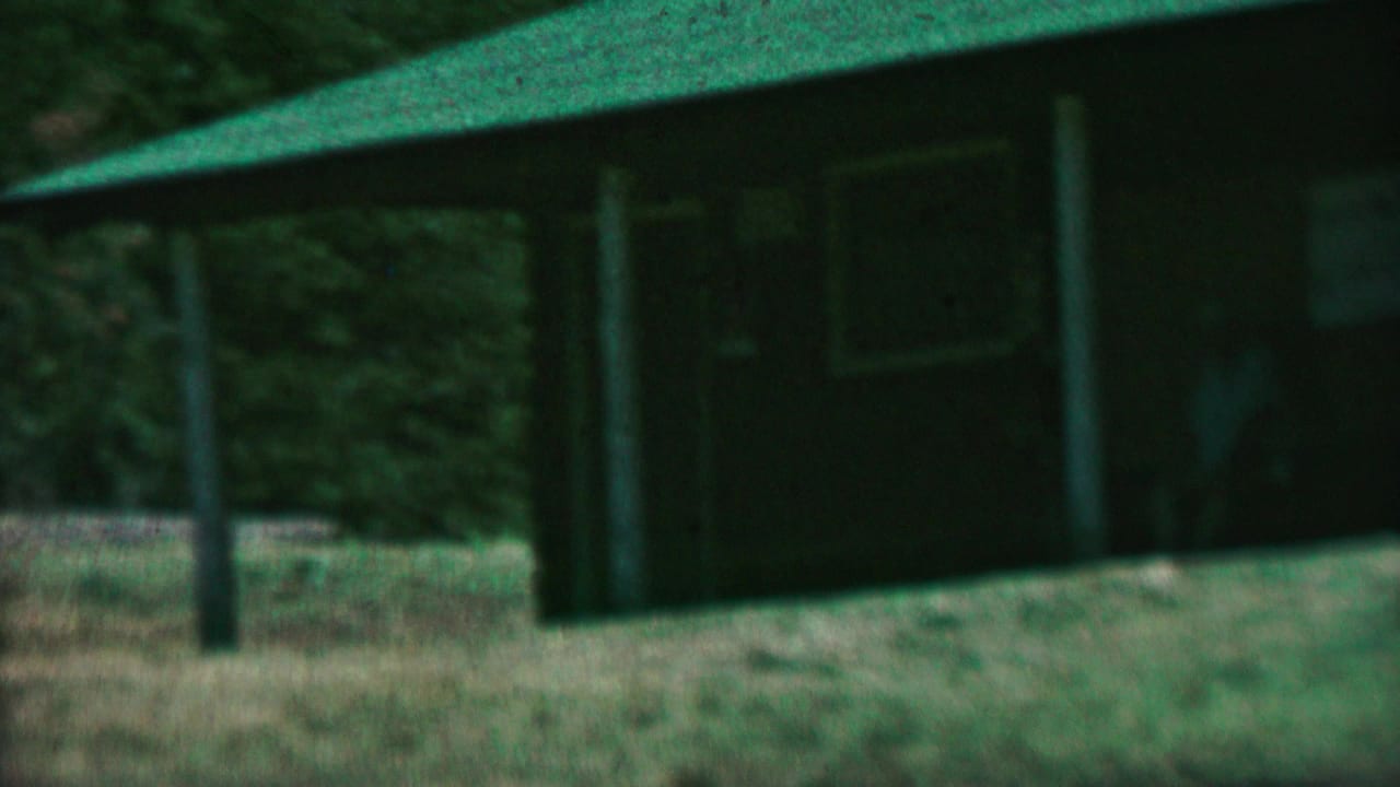 Distant person near a post between dark wooden buildings with green roofs.