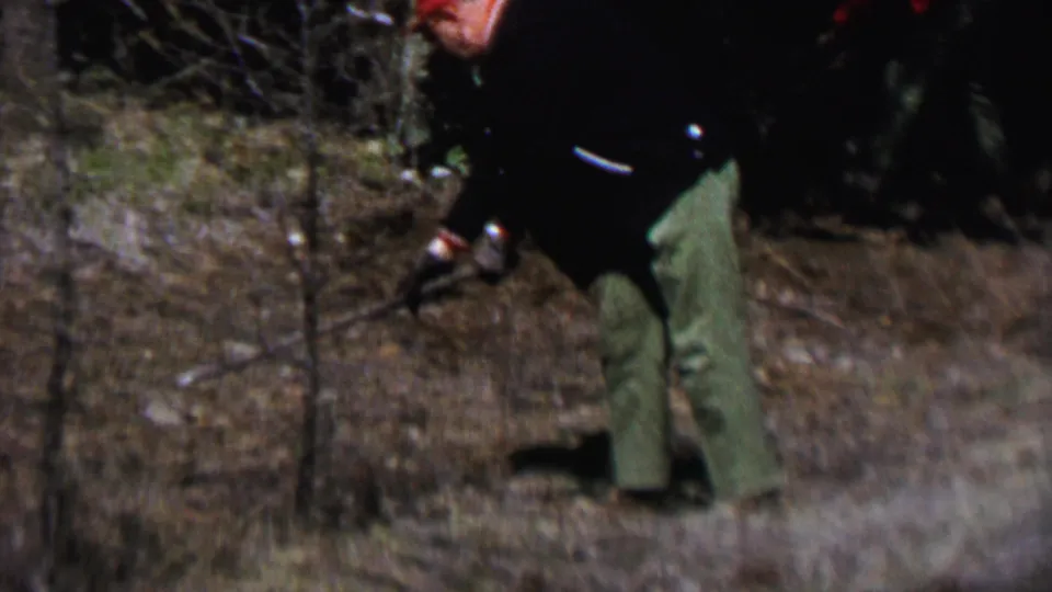 A man in late-1960s outdoor clothing bends into the task, using a long-handled tool to clear vegetation from the sloped forest floor.