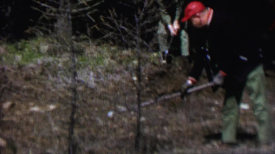 In the final frame, the worker continues clearing brush in the Farragut State Park woodland, with bare saplings and dry vegetation surrounding him.