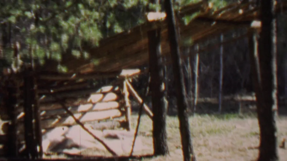 A 1967 8mm frame from the Idaho park footage shows a rustic wooden structure among trees, grass, and bright patches of sun.