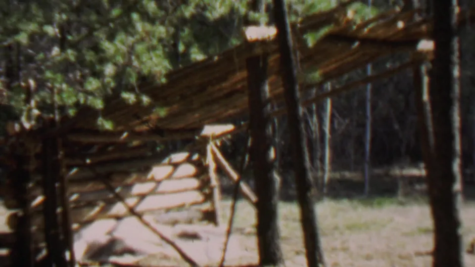 The final 1967 Farragut State Park frame shows a rustic wood shelter or fence-like structure beside trees and grass, rendered with soft 8mm grain and color shift.