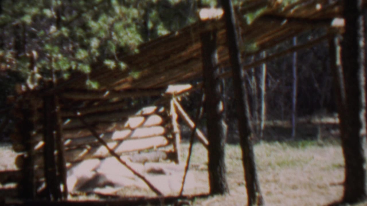 1967 8mm frame from Farragut State Park, Idaho, showing a small rustic log lean-to with a sloped plank roof among pine trees.