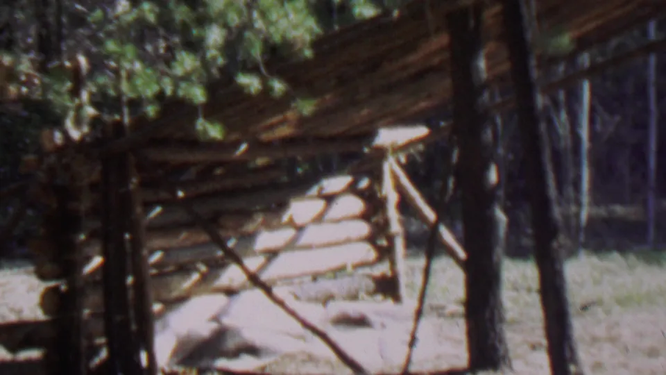 Soft 1967 8mm frame at Farragut State Park showing the rustic shelter, nearby tree trunks, and grassy dirt ground in a wooded area.