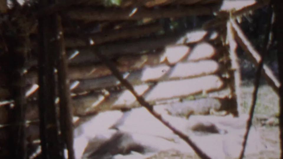 Closer 1967 8mm frame from Farragut State Park showing the lean-to wall, crossed braces, roof edge, trees, and sunlit ground.
