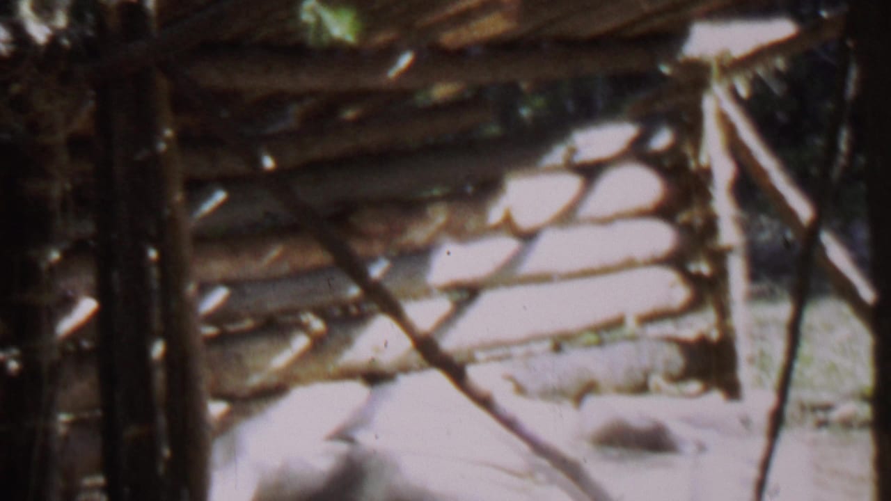 1967 8mm home-movie frame from Farragut State Park, Idaho, showing a rough wooden structure partly obscured by tree trunks and overexposed sunlight.