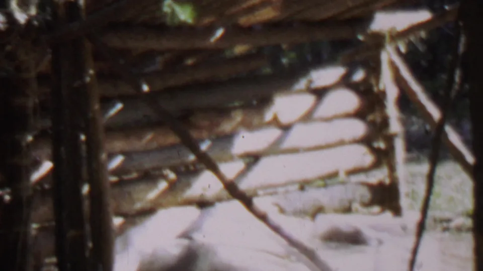 1967 8mm home-movie frame from Farragut State Park, Idaho, showing a rough wooden structure partly obscured by tree trunks and overexposed sunlight.