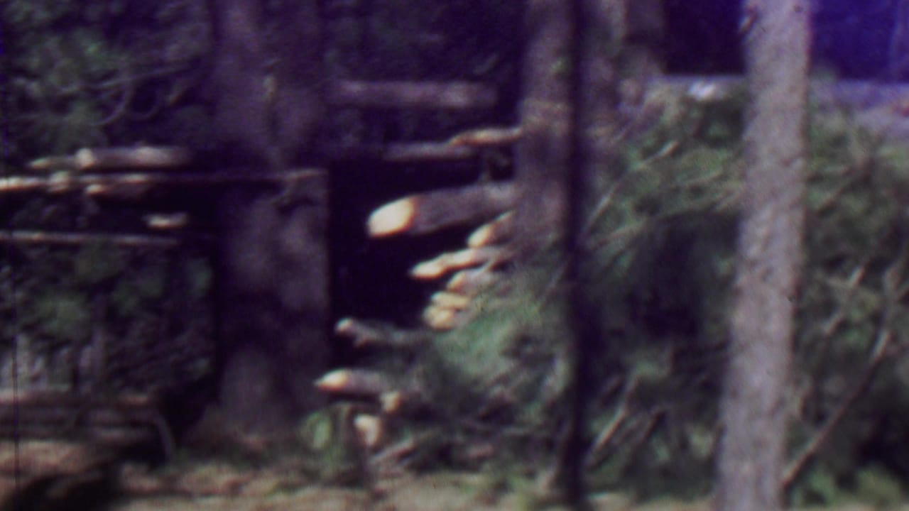 1967 Farragut State Park footage showing trees and dense brush partly obscuring a rough wooden rail or collapsed outdoor structure in the forest.