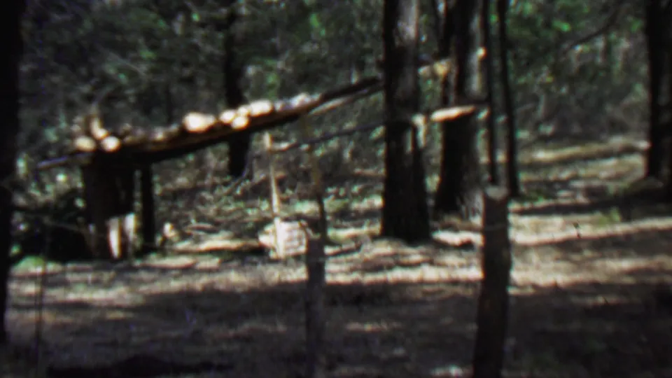 1967 8mm frame from Farragut State Park showing cut logs on a rough support in a wooded area, with tree trunks, a dirt path, and small debris nearby.