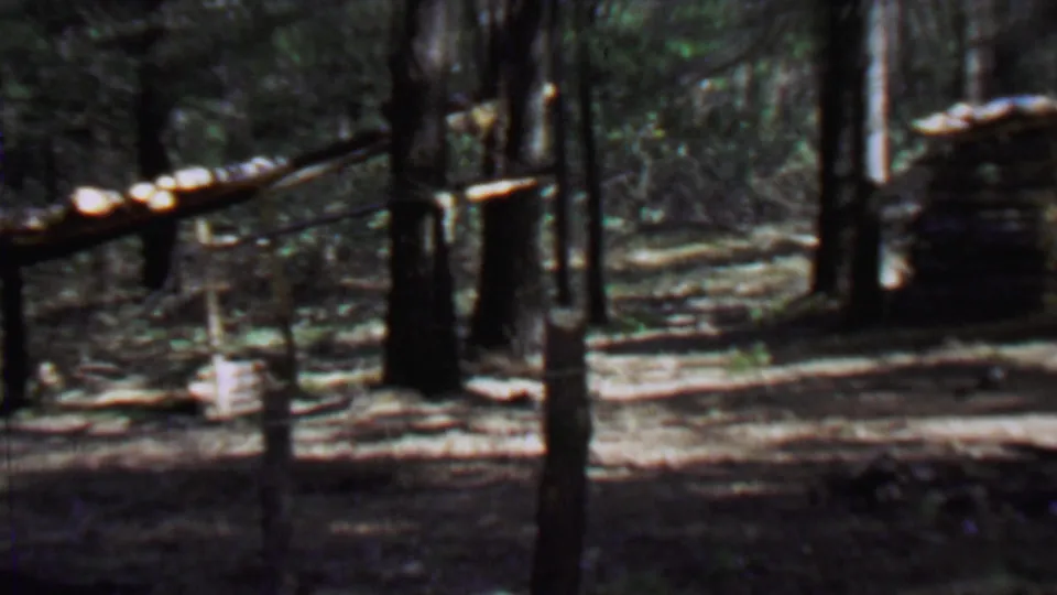 1967 8mm frame from Farragut State Park showing a wooded path, tall trees, a posted sign, and a rustic log shelter or cabin set back among the trunks.