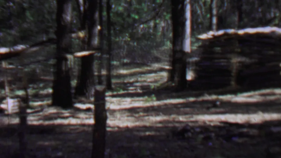 1967 Farragut State Park home-movie frame showing a low weathered log structure among tall trees, with filtered sunlight across the forest floor.