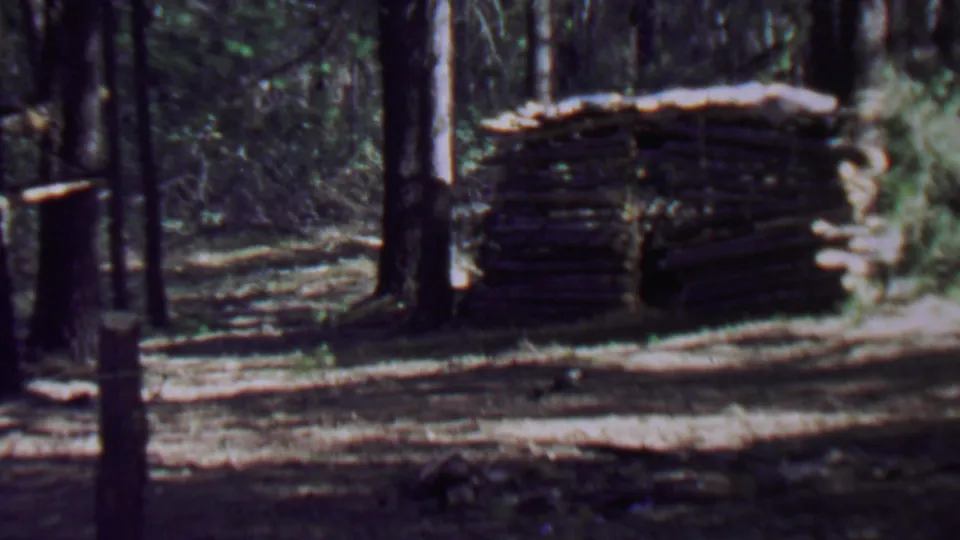 Closer 1967 8mm view of a weathered log cabin or shelter at Farragut State Park, framed by tree trunks, brush, and a sunlit dirt area.