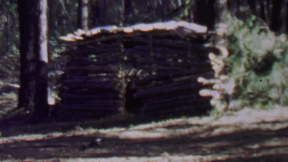 1967 Farragut State Park frame showing the rustic stacked-log structure more fully, with a low sloped roof, surrounding trees, and bright brush at the edge of the clearing.