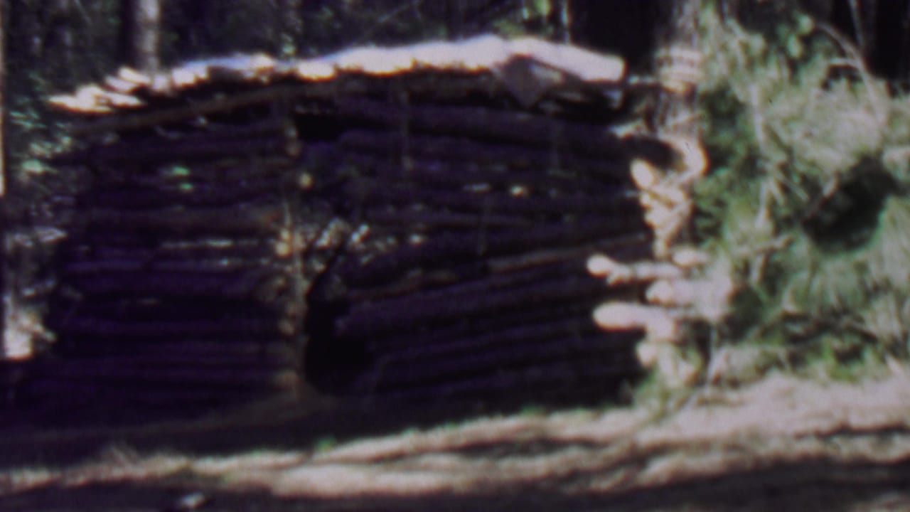 1967 8mm frame from Farragut State Park, Idaho, showing a rustic stacked-log camp shelter under construction among pine trees and cut greenery.