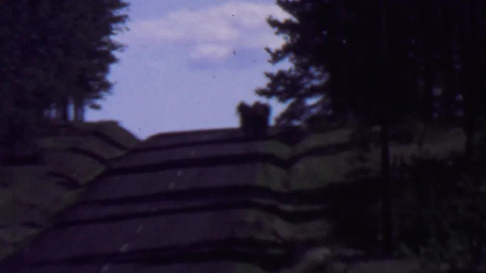 The final frame shows the log shelter from a darker angle, with the roofline silhouetted against sky and a distant person standing or working near the roof.