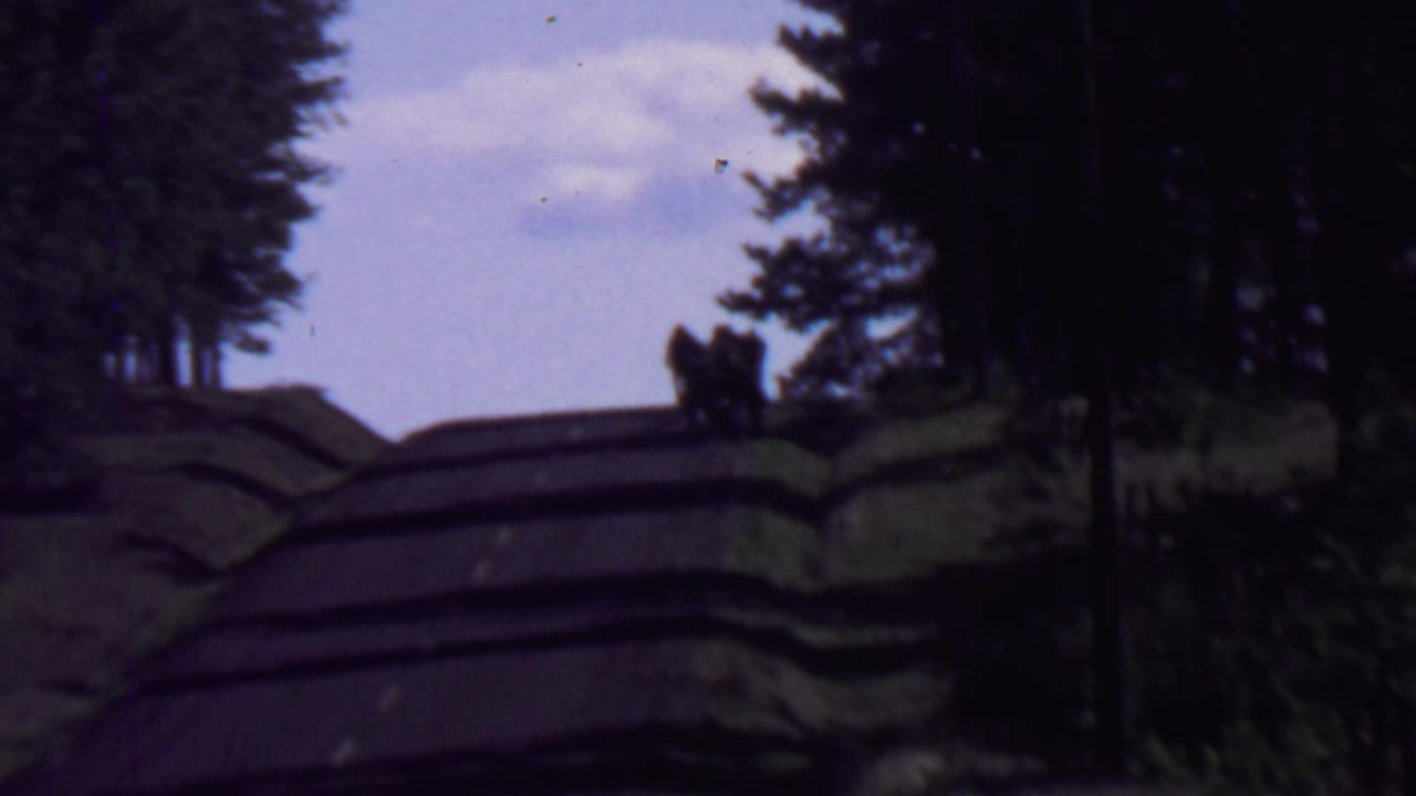 1967 8mm home-movie frame from Farragut State Park, Idaho, showing distant walkers on a winding striped road under a pale cloudy sky and dark evergreen trees.