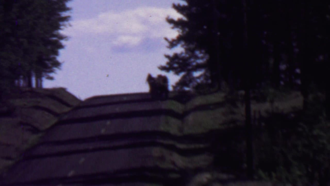 Distant figures continue along the road with trees framing the sky.