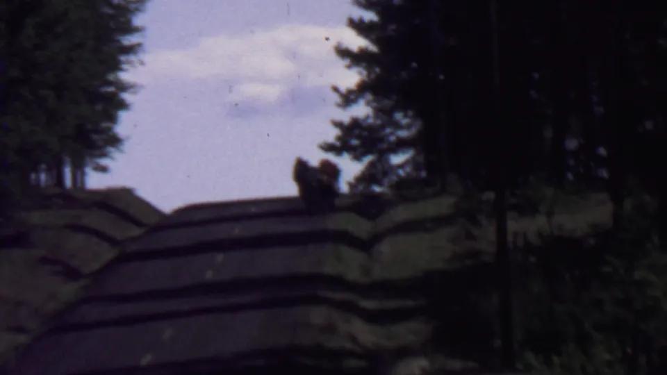 A soft 8mm frame shows a forested park road at Farragut State Park in 1967, with distant walkers silhouetted against the light sky.