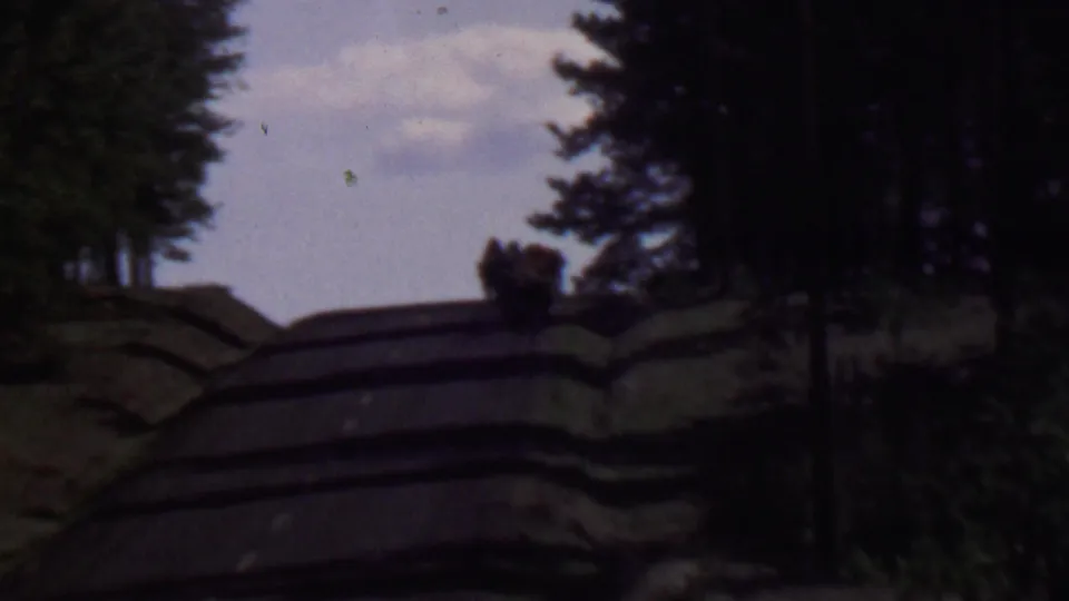 Final frame of the short 1967 Idaho park clip, with walkers still distant on the winding road and evergreen trees enclosing the view.