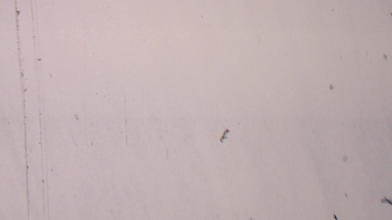 A largely overexposed 8mm frame from the 1967 Farragut State Park clip, with film dust and a partial view of a white sedan entering at the right edge.