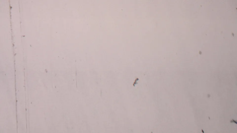 A largely overexposed 8mm frame from the 1967 Farragut State Park clip, with film dust and a partial view of a white sedan entering at the right edge.
