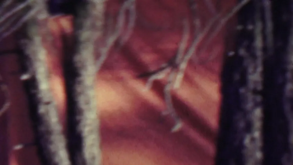 A soft close view of reddish tent or tarp fabric beside vertical trunks or poles within the wooded campsite footage.