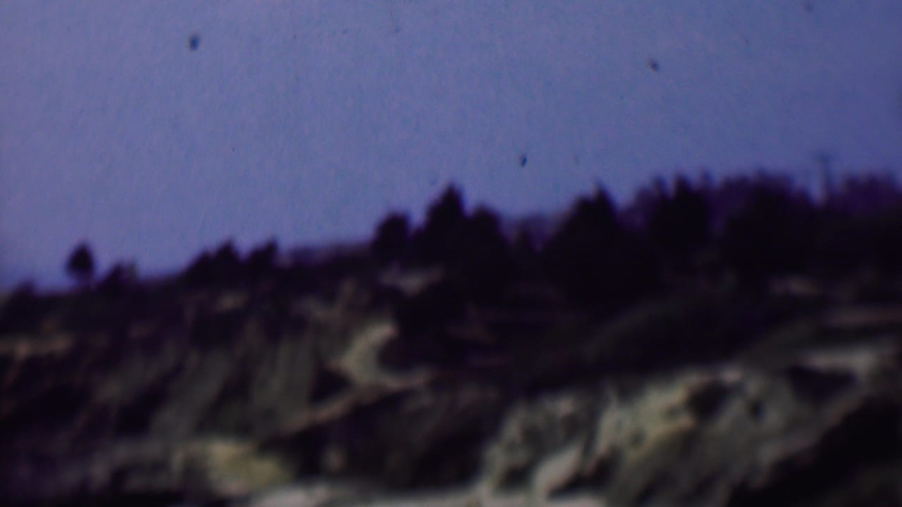Blurred hillside slope with dark trees, exposed pale ground, and blue sky.