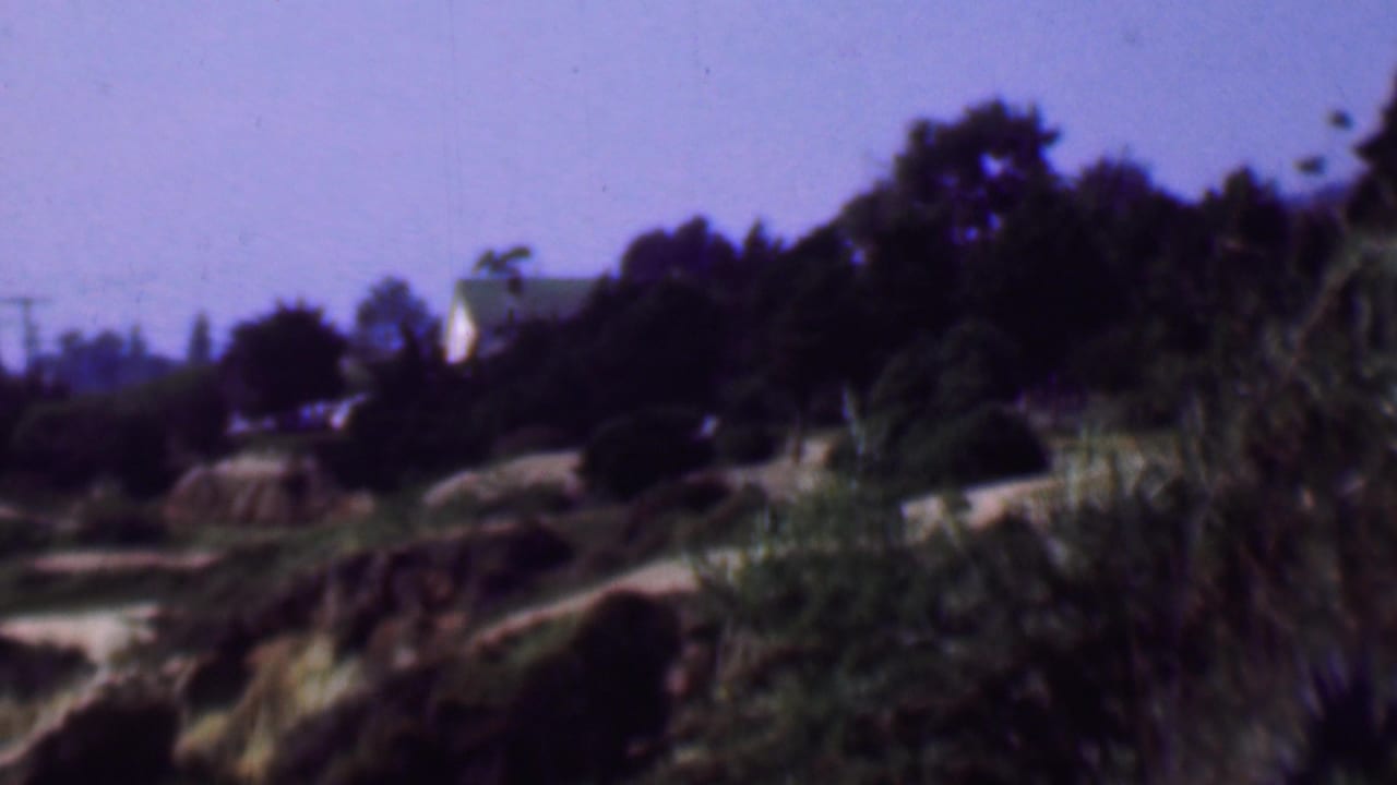 Hillside vegetation with a partially hidden light-colored house and trees in the distance.