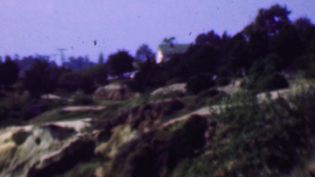 1961 San Diego-area coastal view with eroded pale bluffs, dark tree line, shrubs in the foreground, power lines, and a light building near the horizon.