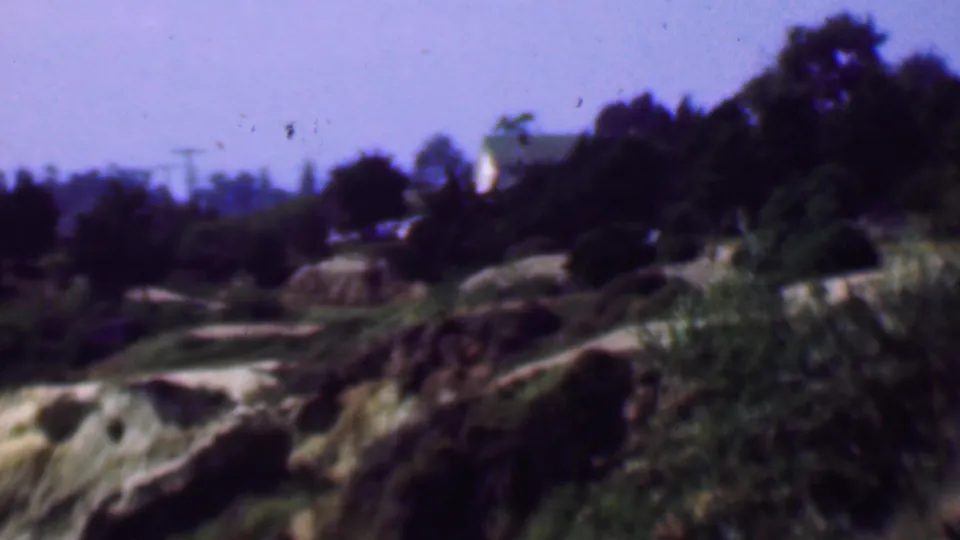 1961 San Diego-area coastal view with eroded pale bluffs, dark tree line, shrubs in the foreground, power lines, and a light building near the horizon.