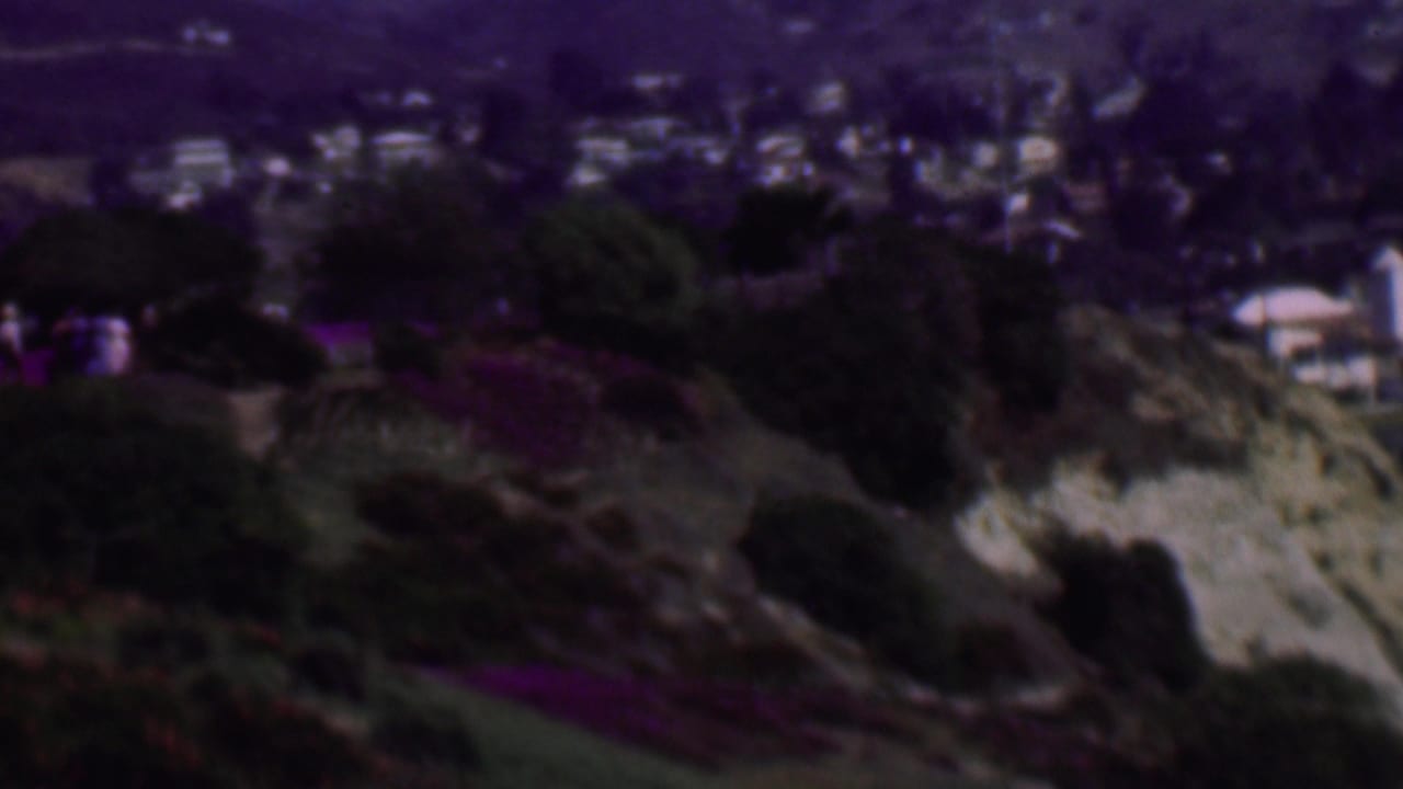 1961 San Diego home-movie frame looking across a landscaped hillside with purple flowers, shrubs, exposed pale slopes, and distant residential buildings.