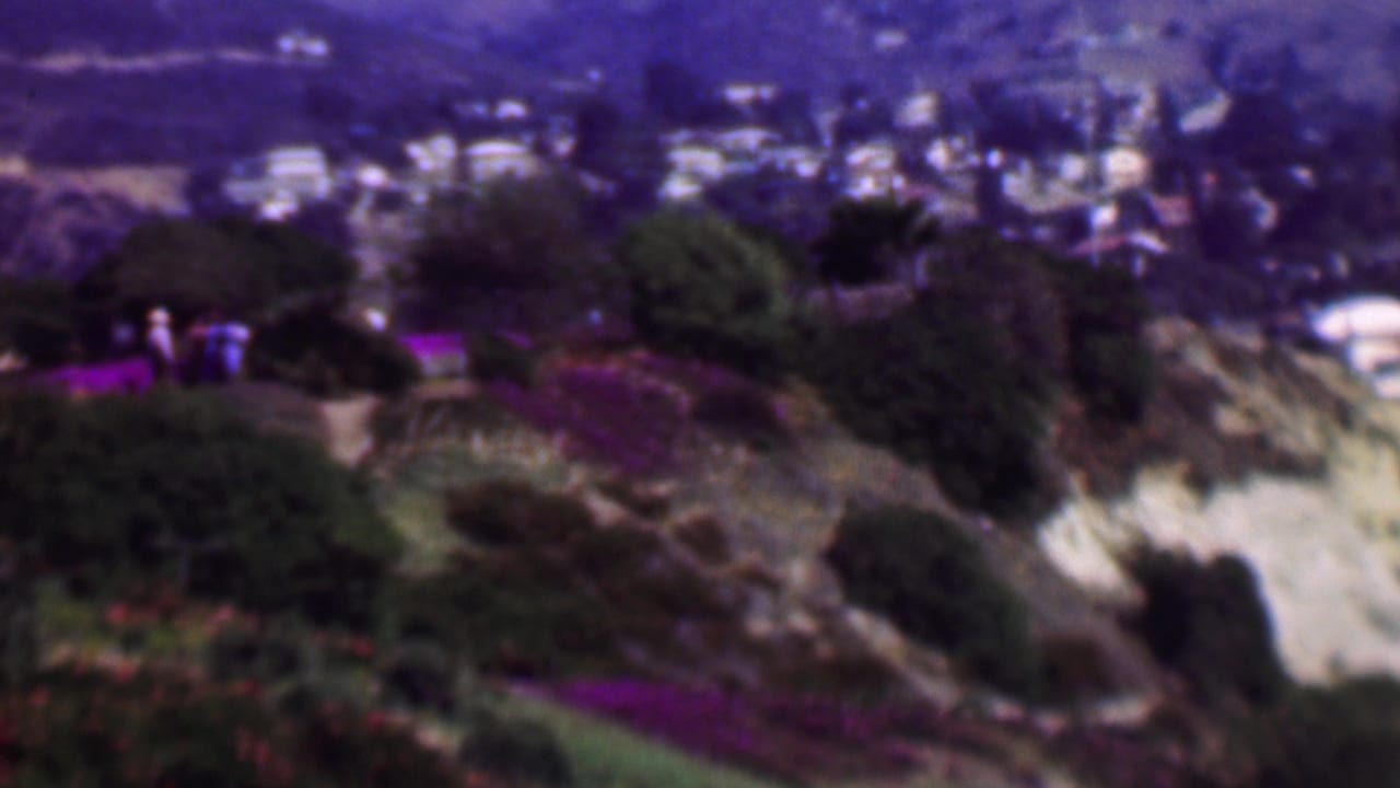 Soft-focus 1961 San Diego frame of a hillside garden with purple flowering areas, dark shrubs, footpaths, and a residential neighborhood in the distance.