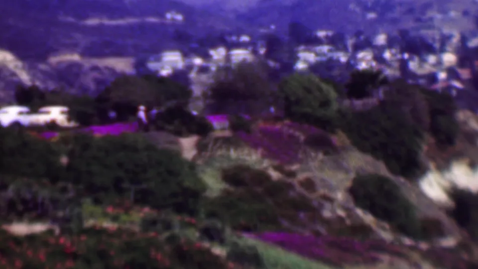 1961 San Diego home-movie view across a planted hillside, showing purple flowers, greenery, a garden path, distant houses, and a light-colored vehicle.