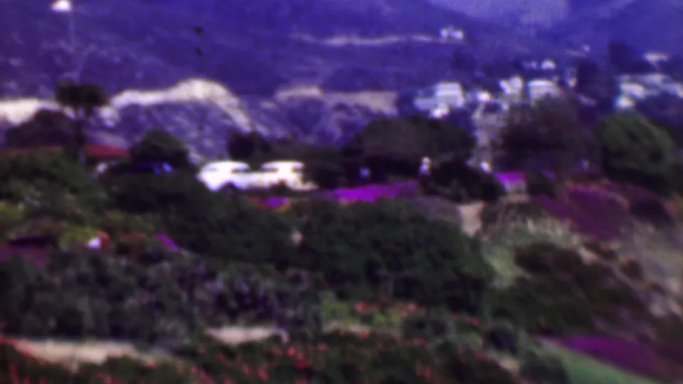 1961 San Diego frame of a hillside garden and residential backdrop, with purple flowers, layered shrubs, pale exposed slopes, distant houses, and a white vehicle visible.