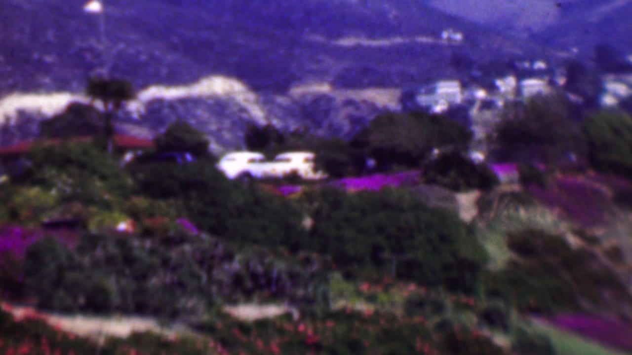 1961 San Diego home-movie frame showing a hillside garden with purple and pink plantings, dense shrubs, distant hills, and a partly visible white vehicle among trees.