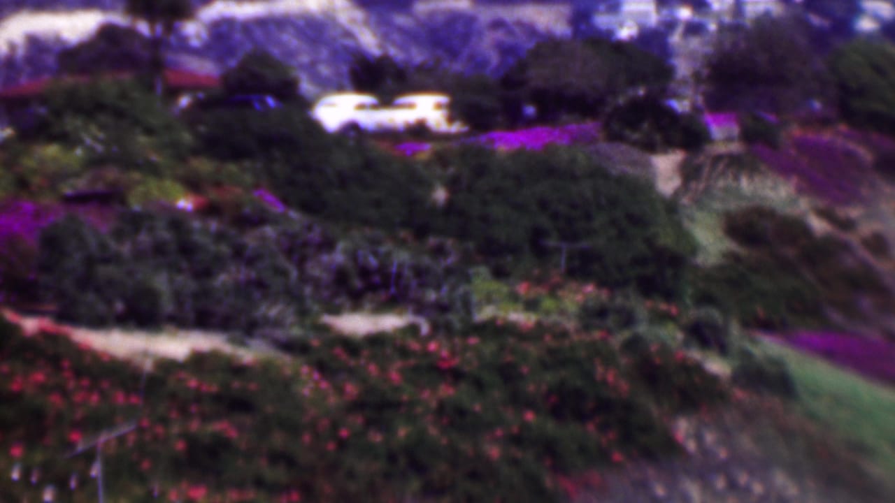 Terraced hillside planting with purple blooms, shrubs, pale paths, trees, and a white vehicle in the distance.