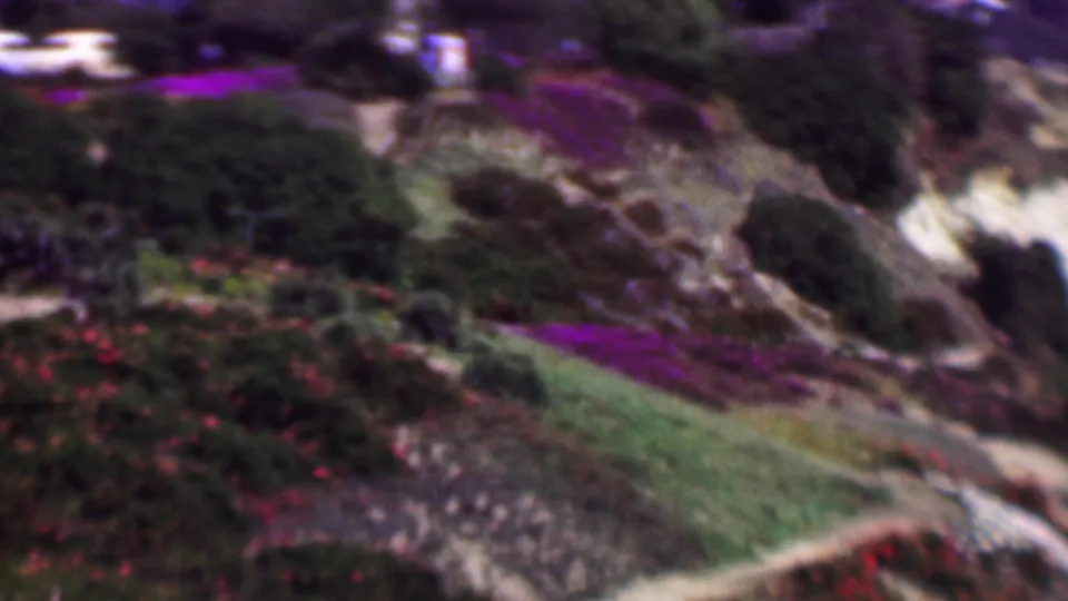 1961 San Diego 8mm frame showing hillside garden terraces with green shrubs, purple planting beds, red flowers, pale path edges, and a distant white vehicle near trees.