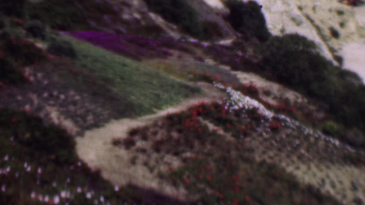 1961 San Diego 8mm frame with a pale path curving through a hillside of shrubs, green patches, sandy soil, and small white blossoms.