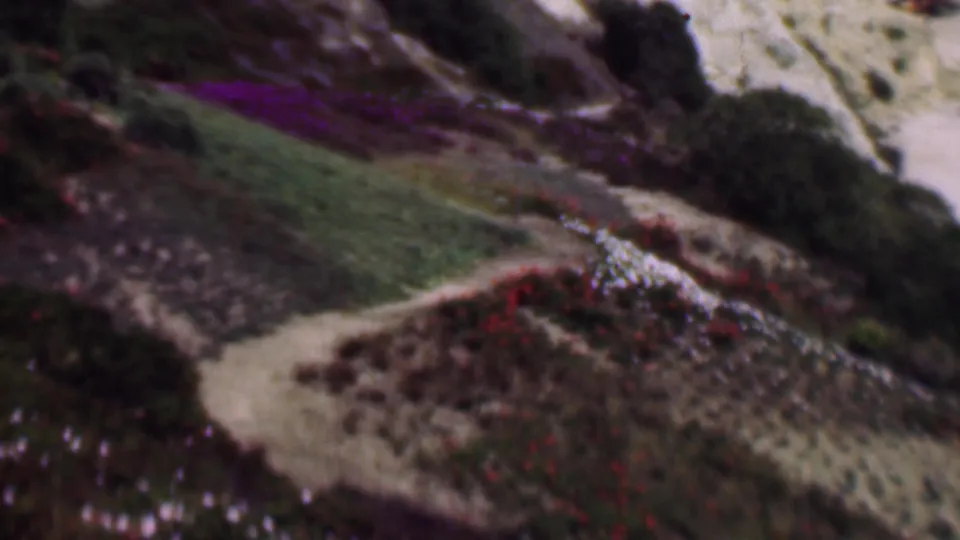 1961 San Diego 8mm frame with a pale path curving through a hillside of shrubs, green patches, sandy soil, and small white blossoms.