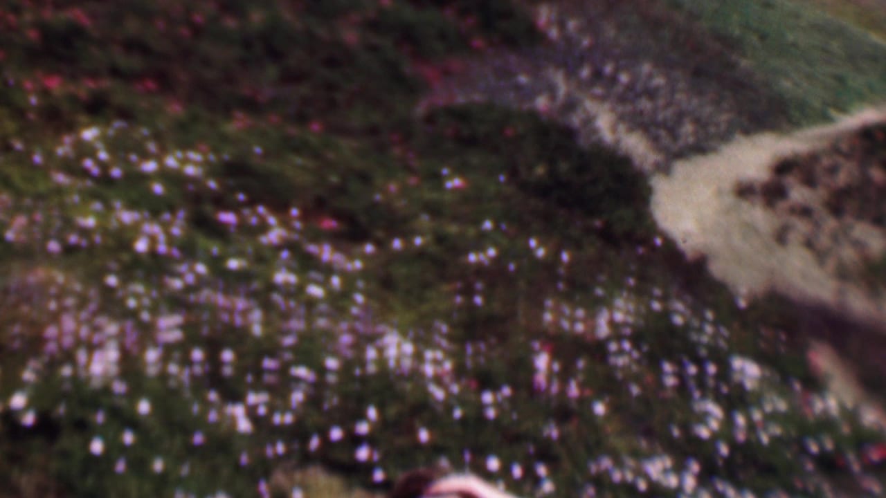 1961 San Diego home-movie frame looking across a flowering hillside path, with purple and white blooms and only a partial person visible at the lower edge.