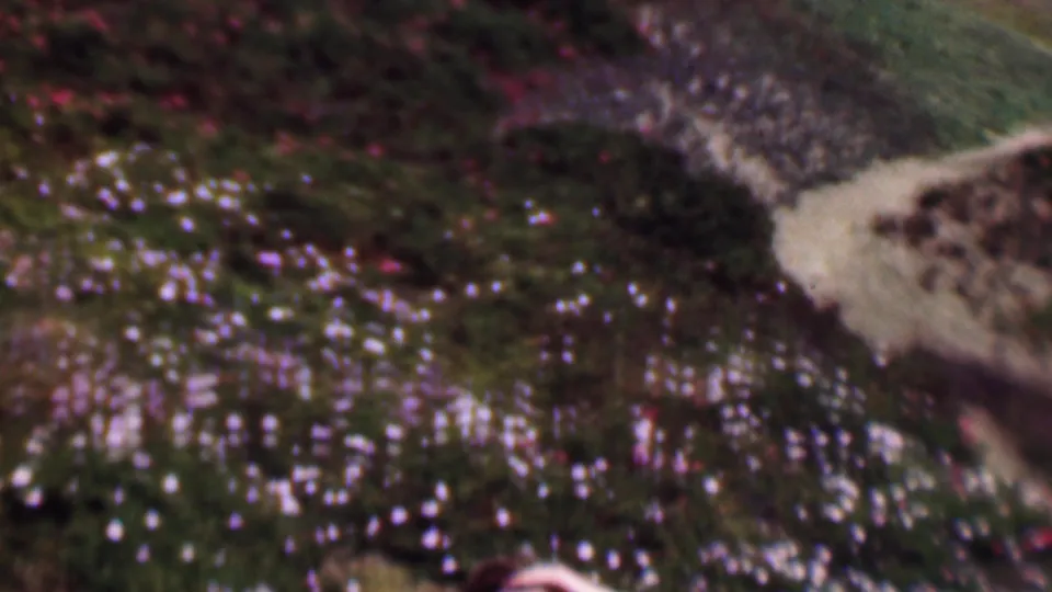 1961 San Diego home-movie frame looking across a flowering hillside path, with purple and white blooms and only a partial person visible at the lower edge.