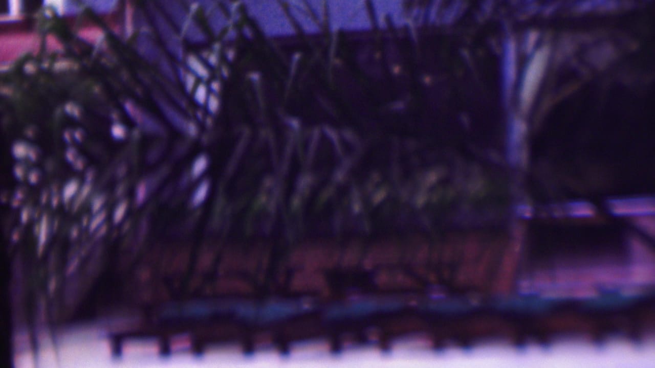 Soft 1961 8mm San Diego frame showing palm fronds and tree trunks obscuring a residential building with white railings and blue poolside lounge chairs.