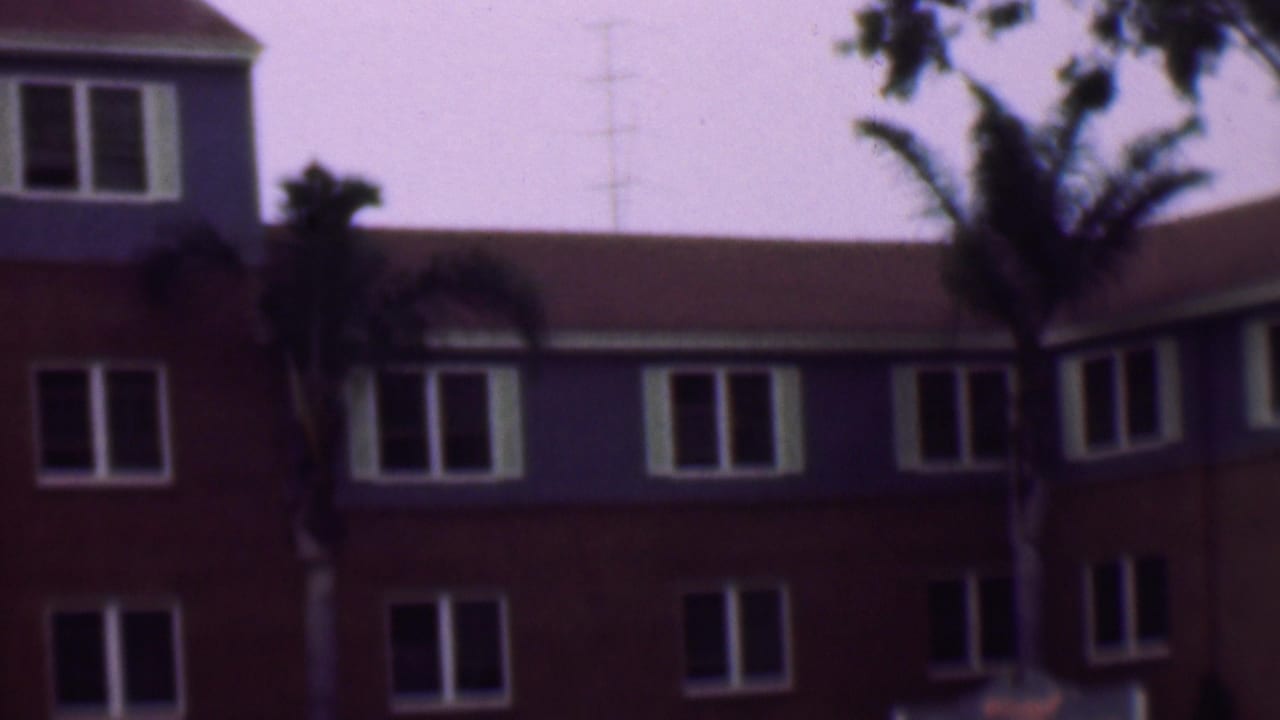 Upper facade of a large building with windows, palms, and a faint utility tower.