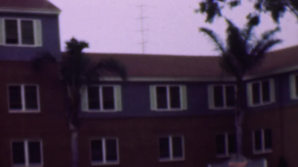 1961 San Diego exterior view of the upper stories of a red and blue building, with white-trimmed windows, palms, tree branches, and a distant utility tower against the sky.