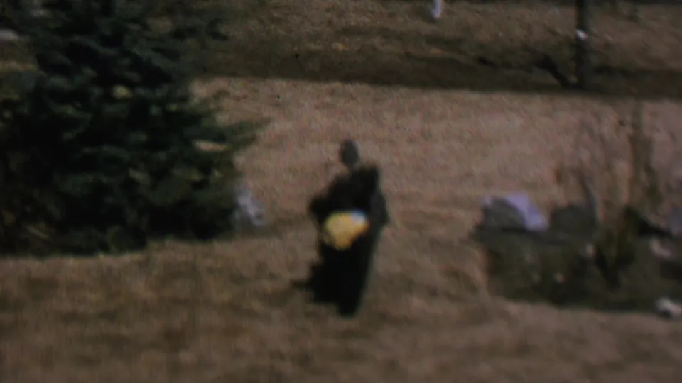 The dark animal appears closer in the yard, moving past shrubs and a pale object on the ground within the 1964 outdoor home-movie scene.