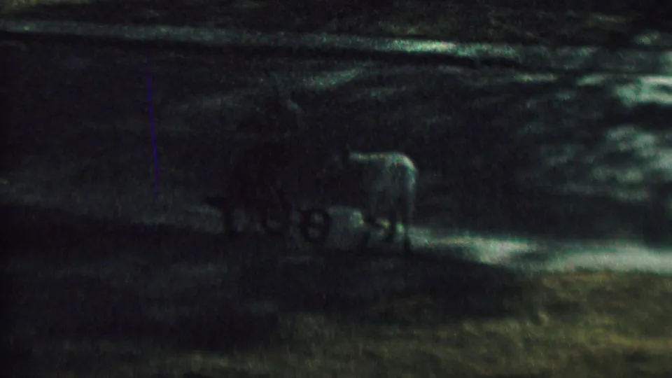 Very dark, blurred final frame with indistinct forms and limited visible detail, consistent with a brief low-light transition in the 8mm clip.